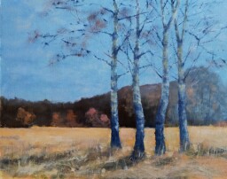 Na skromném listopadovém slunci  30 x 40